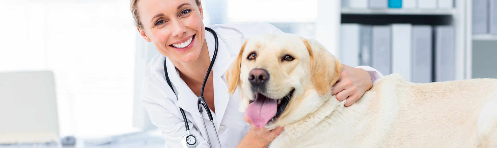 TVD-Partner-f&uuml;r-Tier&auml;rzte-(11)