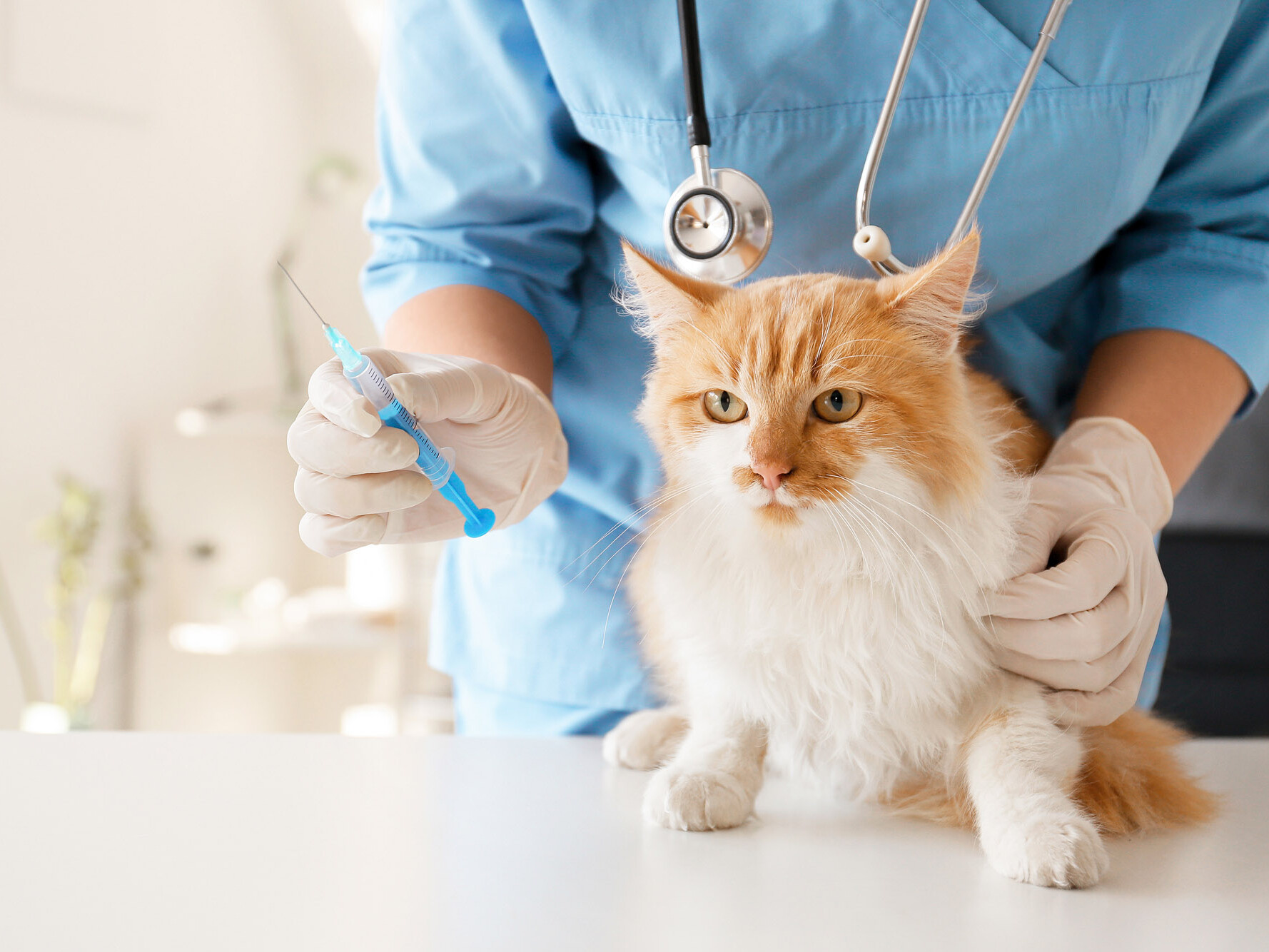 TVD-Partner-fuer-Tieraerzte-5